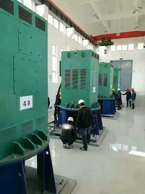 林州某污水处理厂使用我厂的立式高压电机安装现场