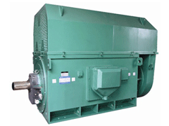林州Y系列6KV高压电机